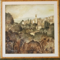 Coletti4