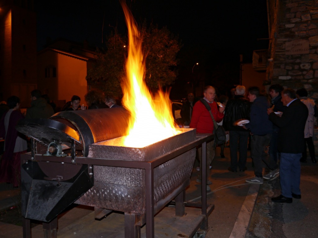 141109 Castelnuovo Castagnata 04