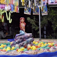 150521 Castelnuovo Festa San Pasquale 084