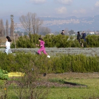 141123 Castelnuovo UNTO 221