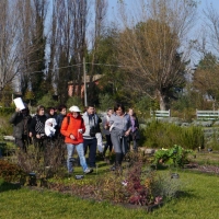 141123 Castelnuovo UNTO 228