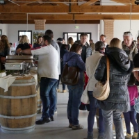 141123 Castelnuovo UNTO 270